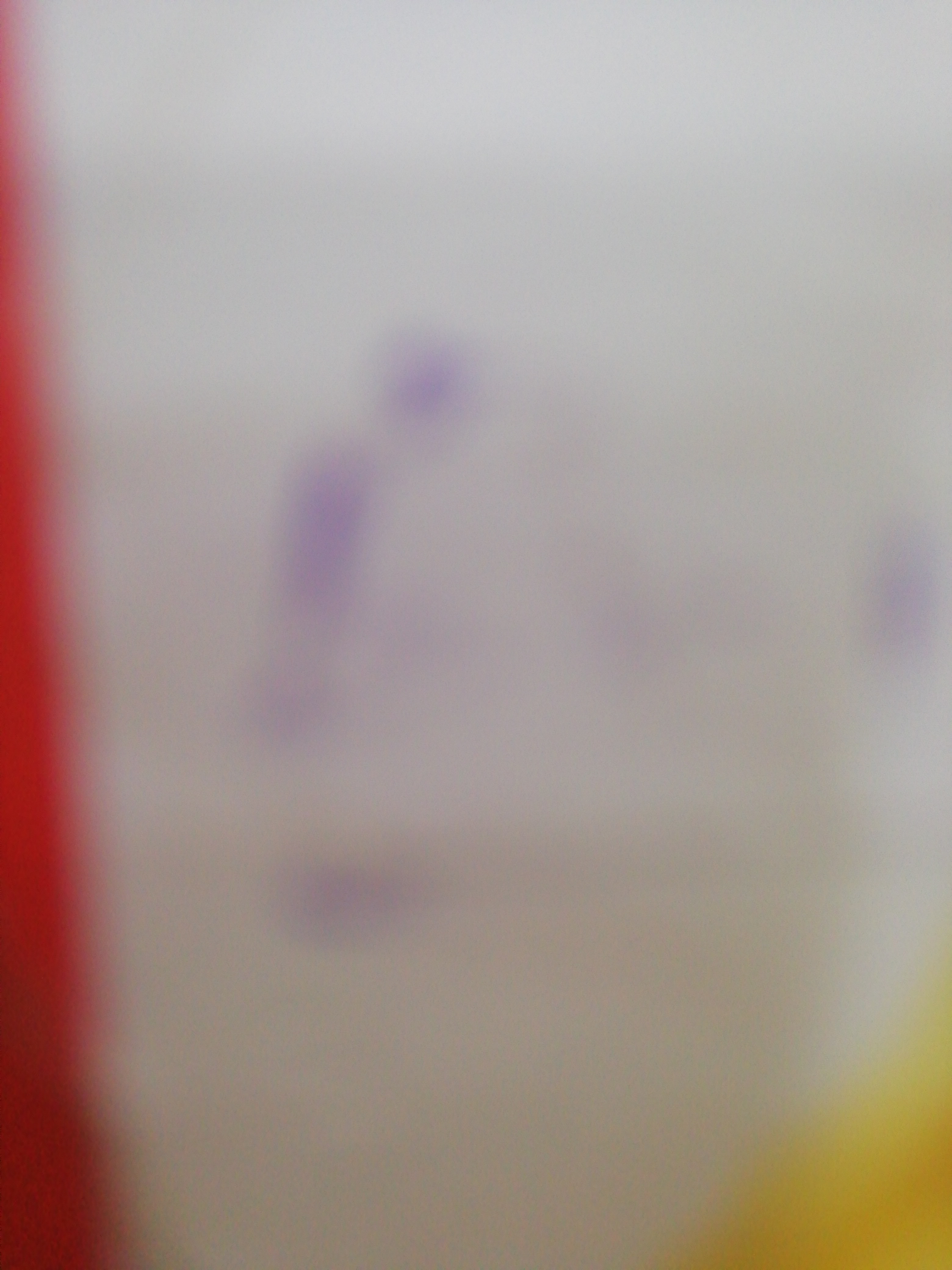 Any Important Documents