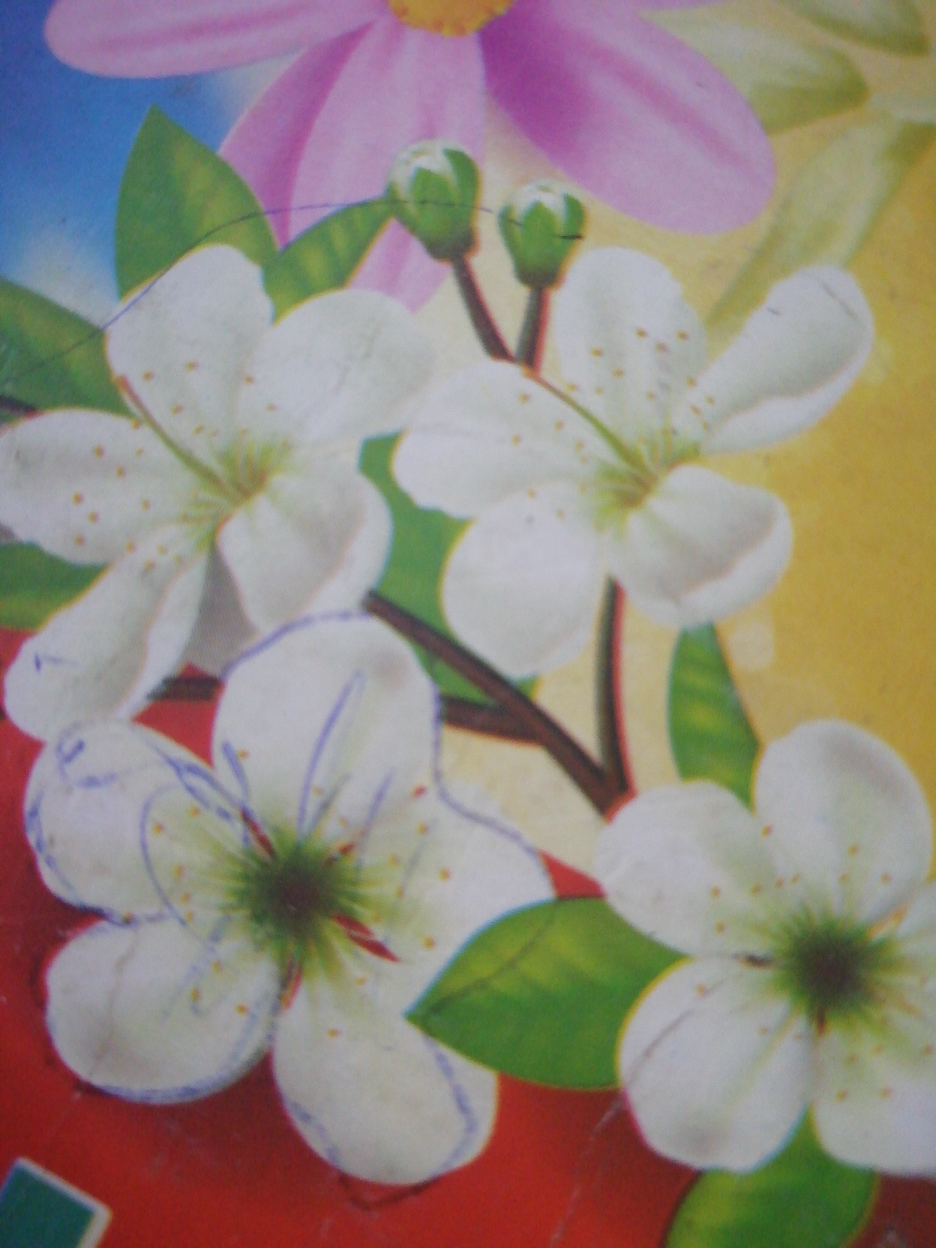 Any Important Documents