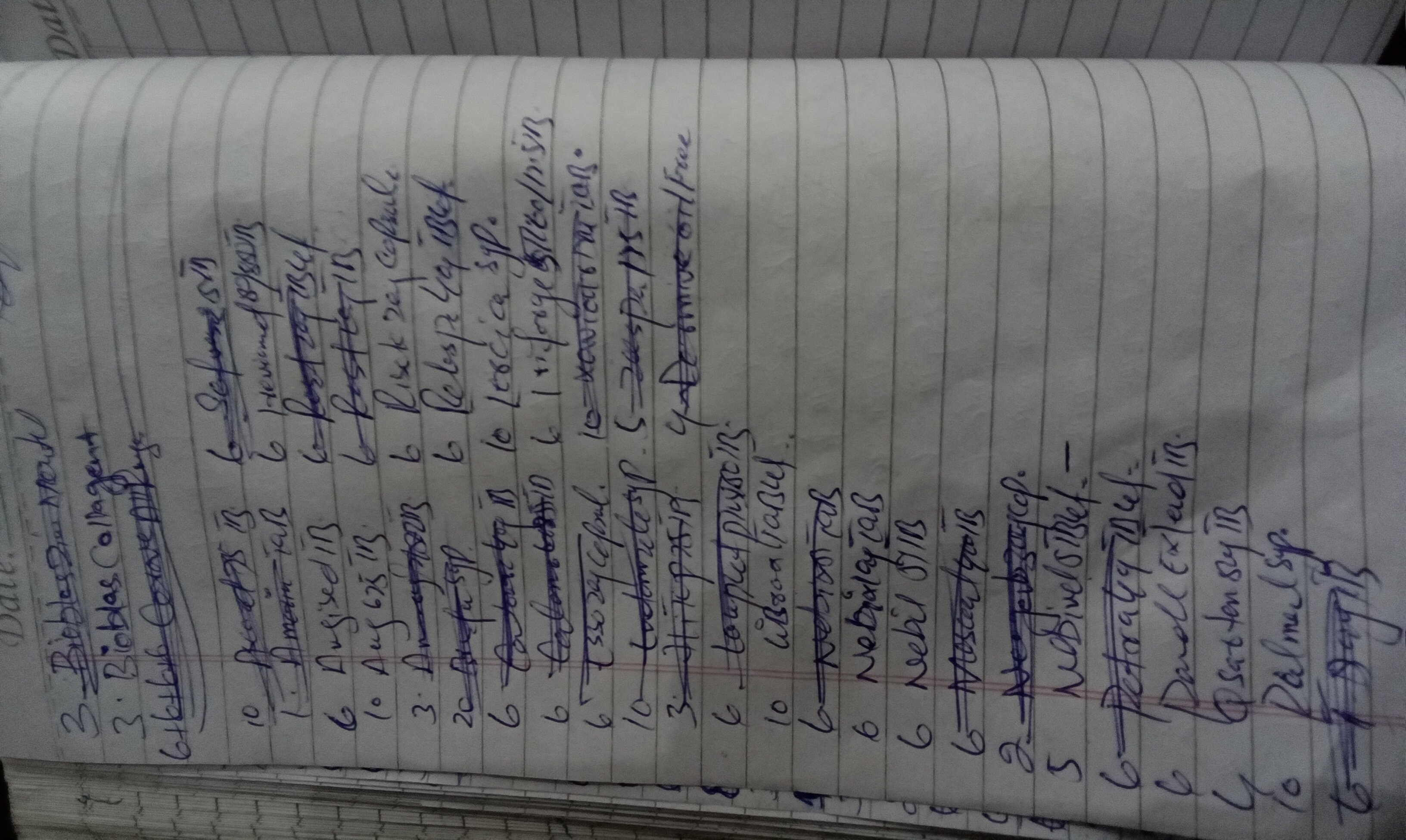 Any Important Documents