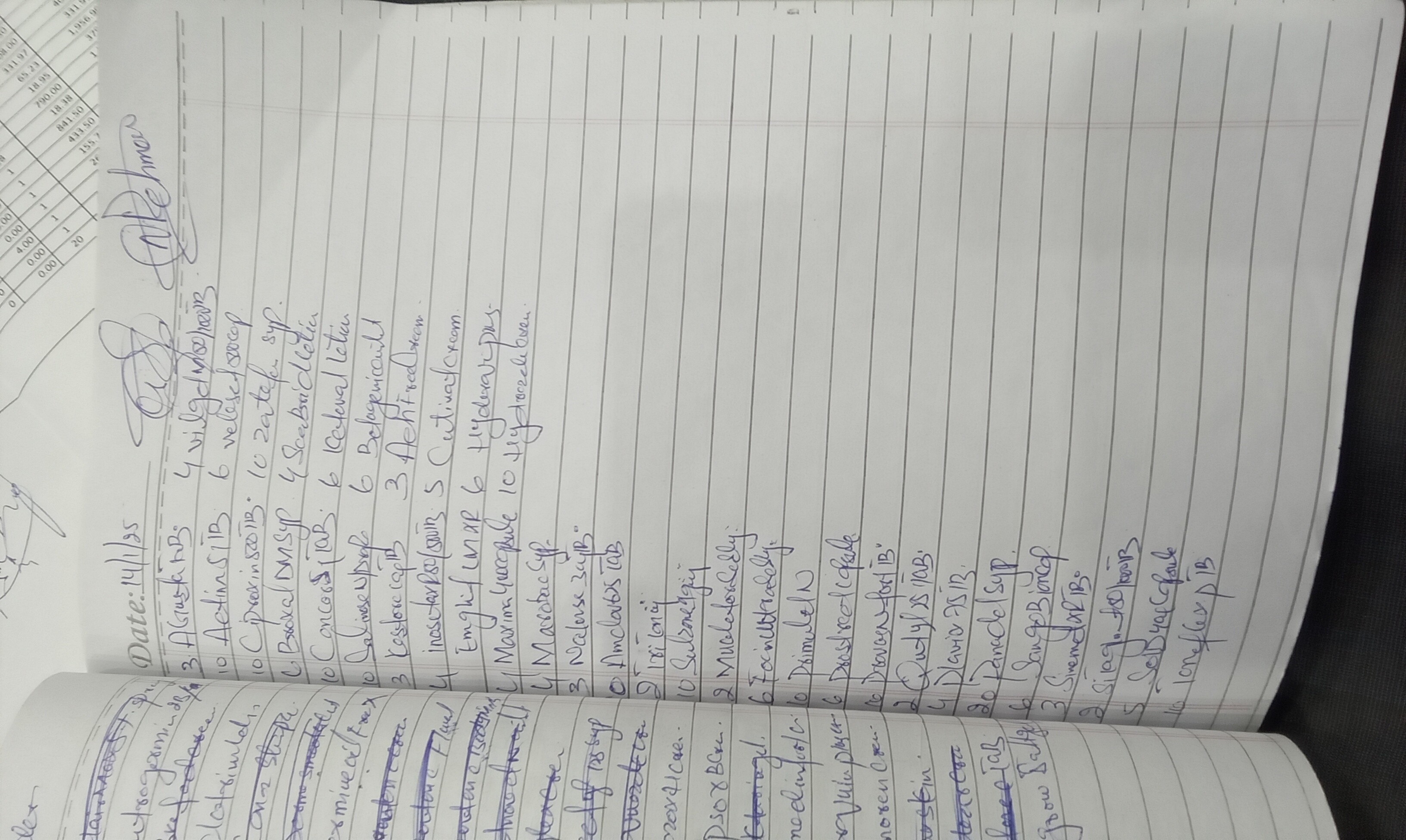 Any Important Documents