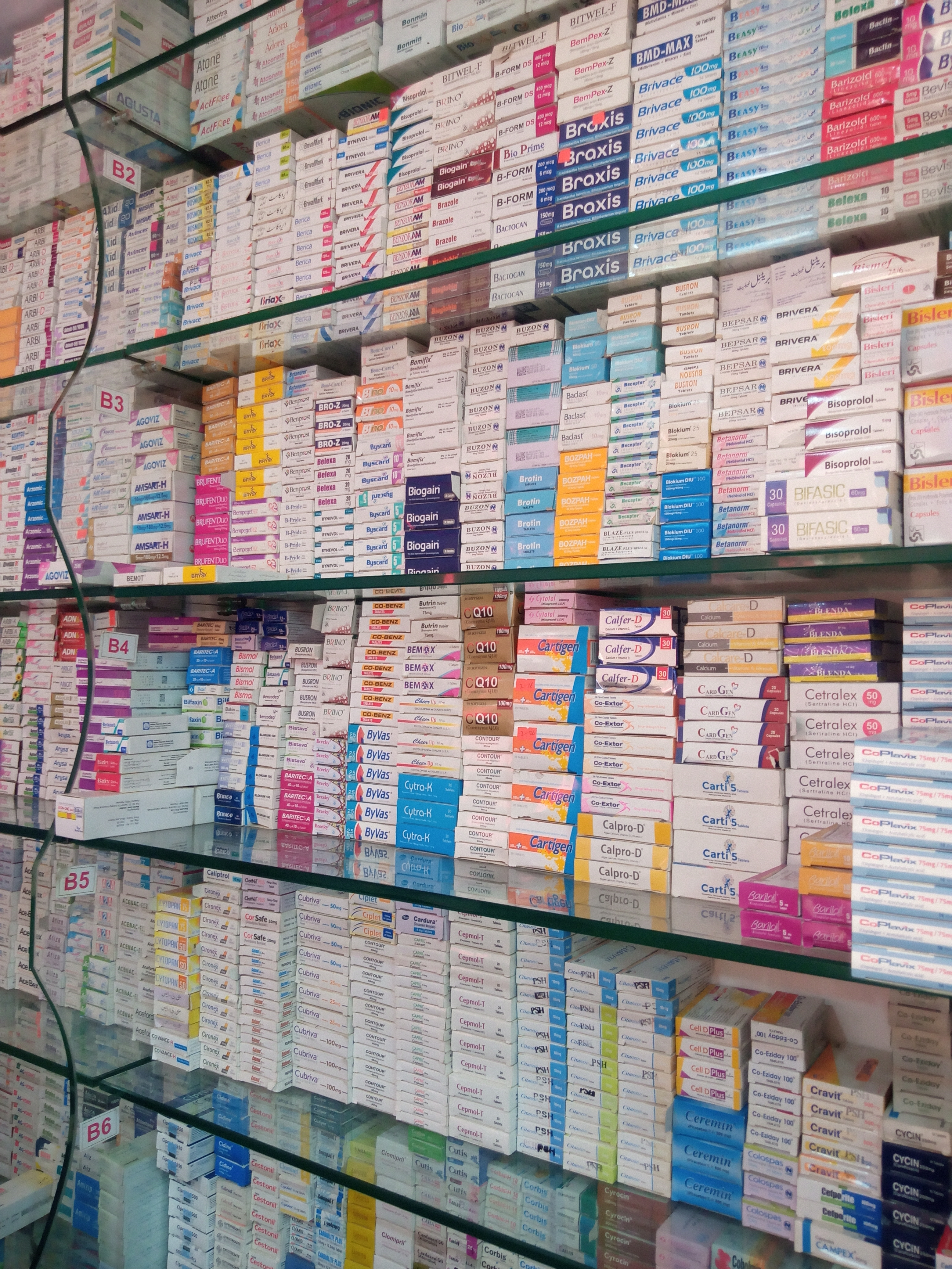 Any Important Documents